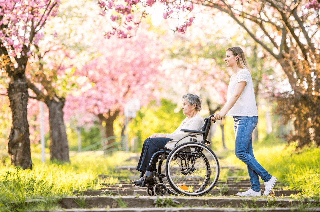 Elderly grandmother in wheelchair with granddaughter in spring nature by halfpoint. Asset for inspiration for spring, which begins in March for people in the northern hemisphere. 